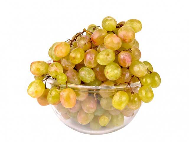 最新破解版本的在线免费轰炸电话网页版